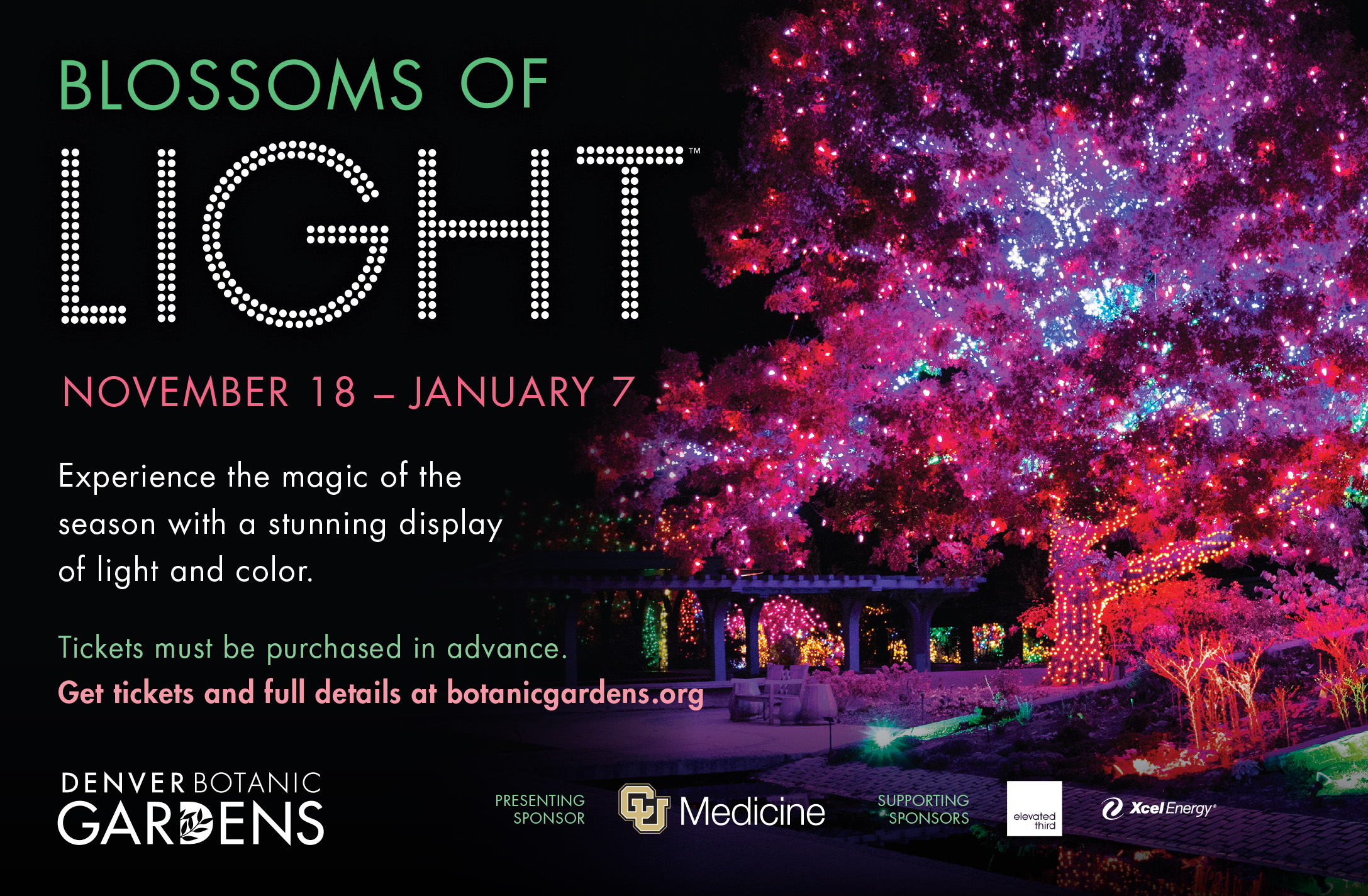 Take a Stroll with Denver Botanic Gardens for Blossoms of Light