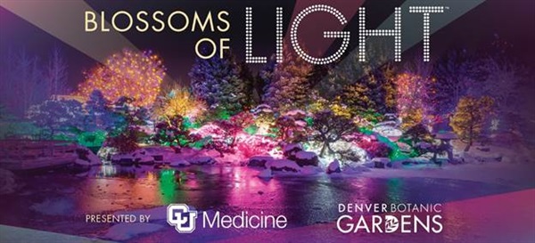 Blossoms of Light with Logo
